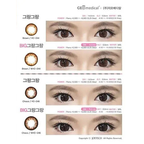 GEO Grang Grang Choco HC 246 - Image 3