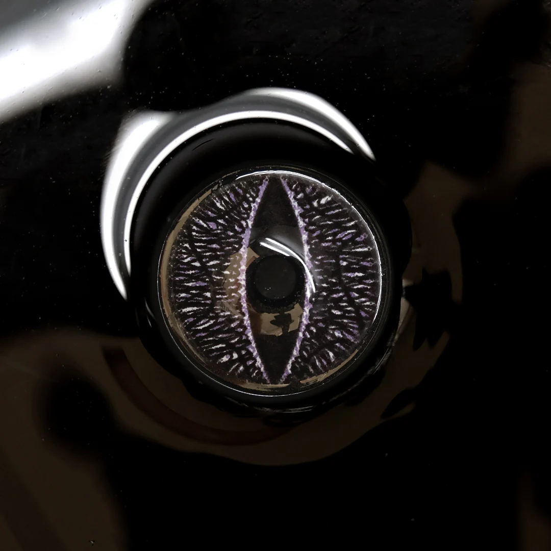 Princess Pinky Black Lizard Mini Sclera - Image 5