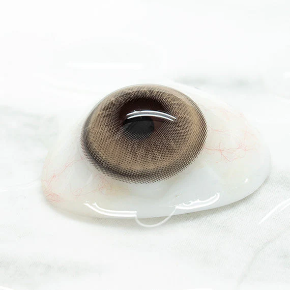 Uris Papillon Brown - Image 4