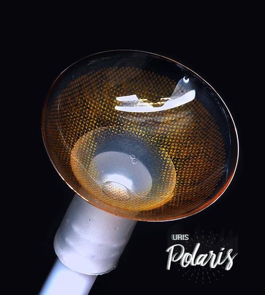 Uris Polaris Brown - Image 4